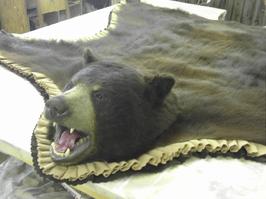 Mr. Fish Taxidermy Black Bear Rug